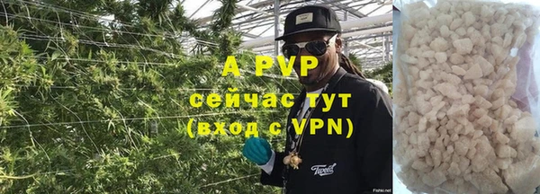 сатива Армянск