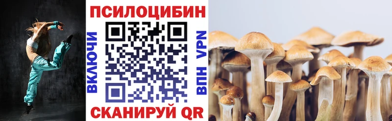 блэк спрут маркетплейс Асино Галлюциногенные грибы мицелий